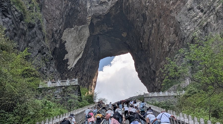 青年人失业的出路在哪里？